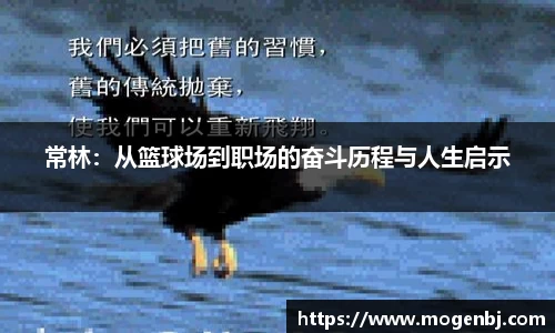 常林：从篮球场到职场的奋斗历程与人生启示